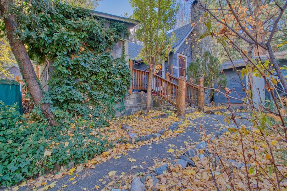 Ray'S Dear Cottage Wrightwood Extérieur photo