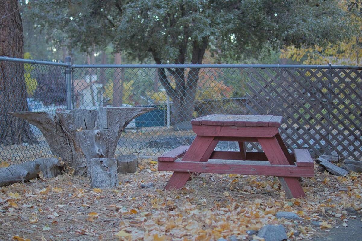 Ray'S Dear Cottage Wrightwood Extérieur photo
