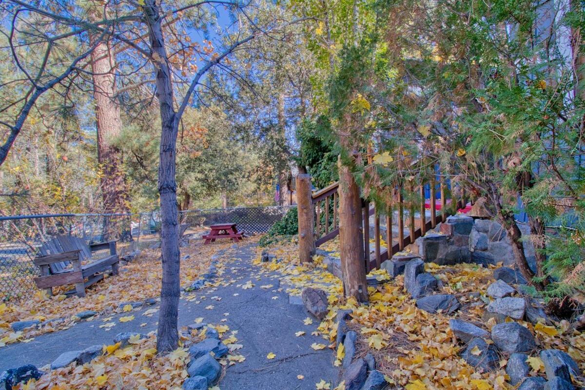 Ray'S Dear Cottage Wrightwood Extérieur photo